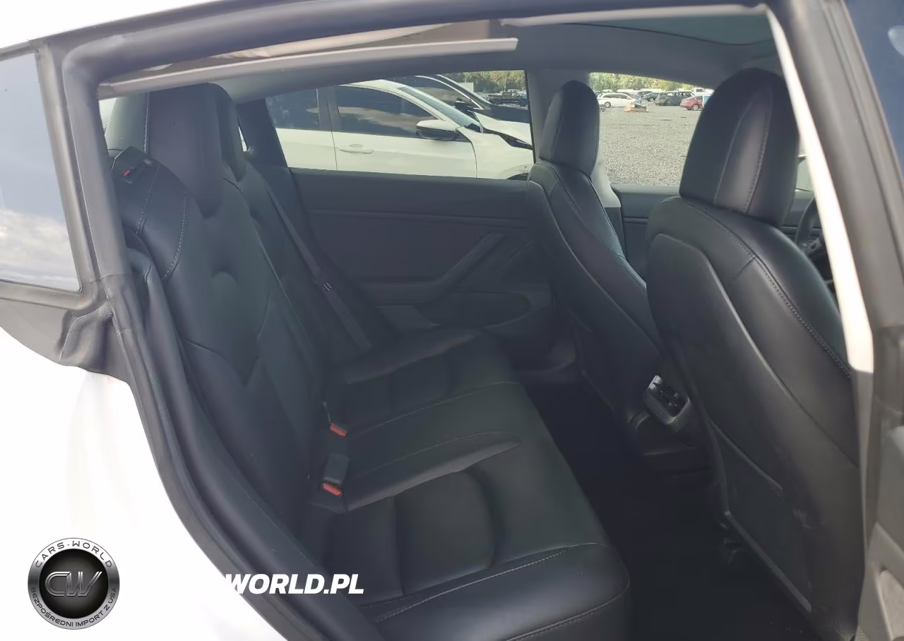 2020 Tesla Model 3 VIN:5YJ3E1EBXLF795644 - 10