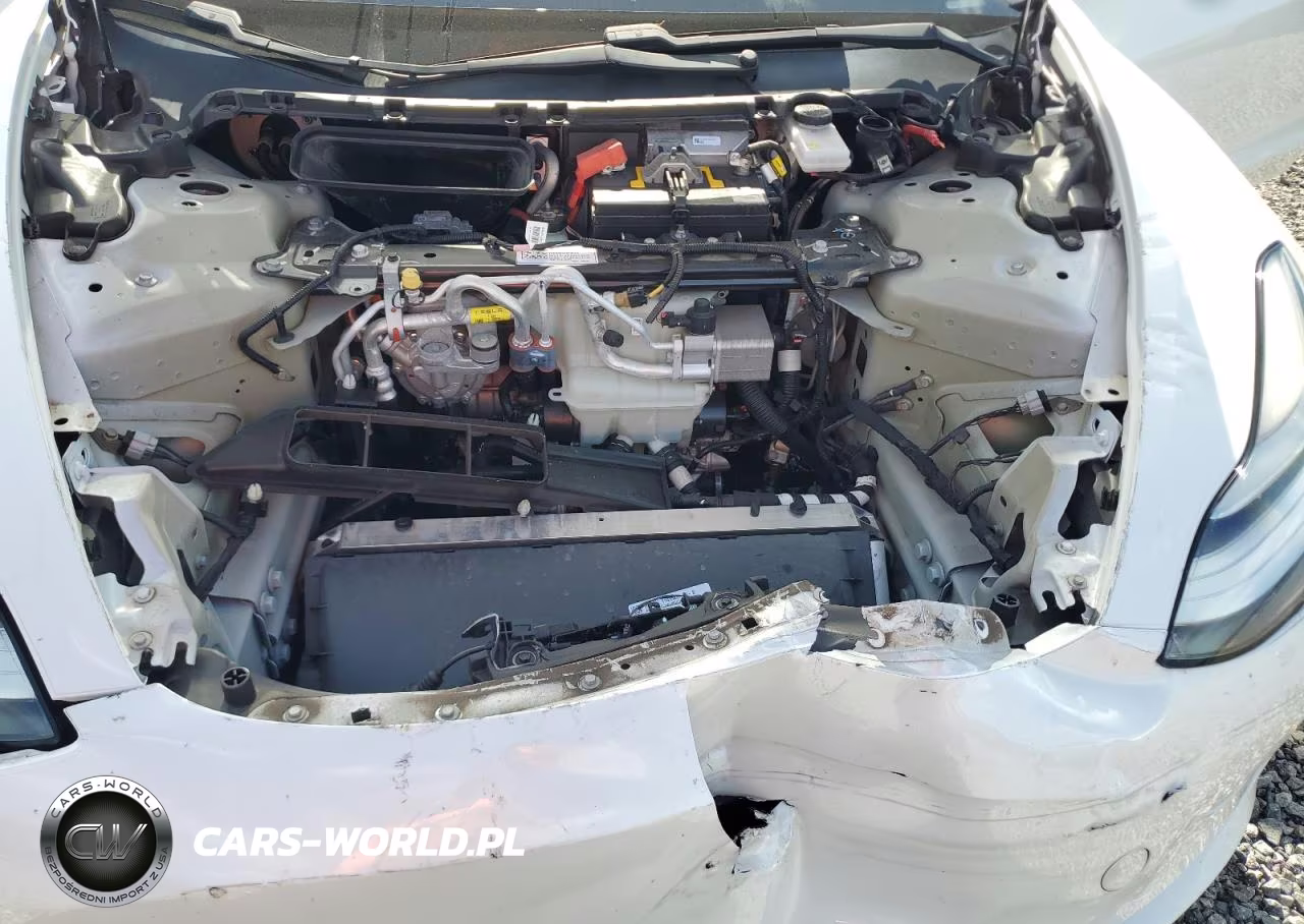 2020 Tesla Model 3 VIN:5YJ3E1EBXLF795644 - 11