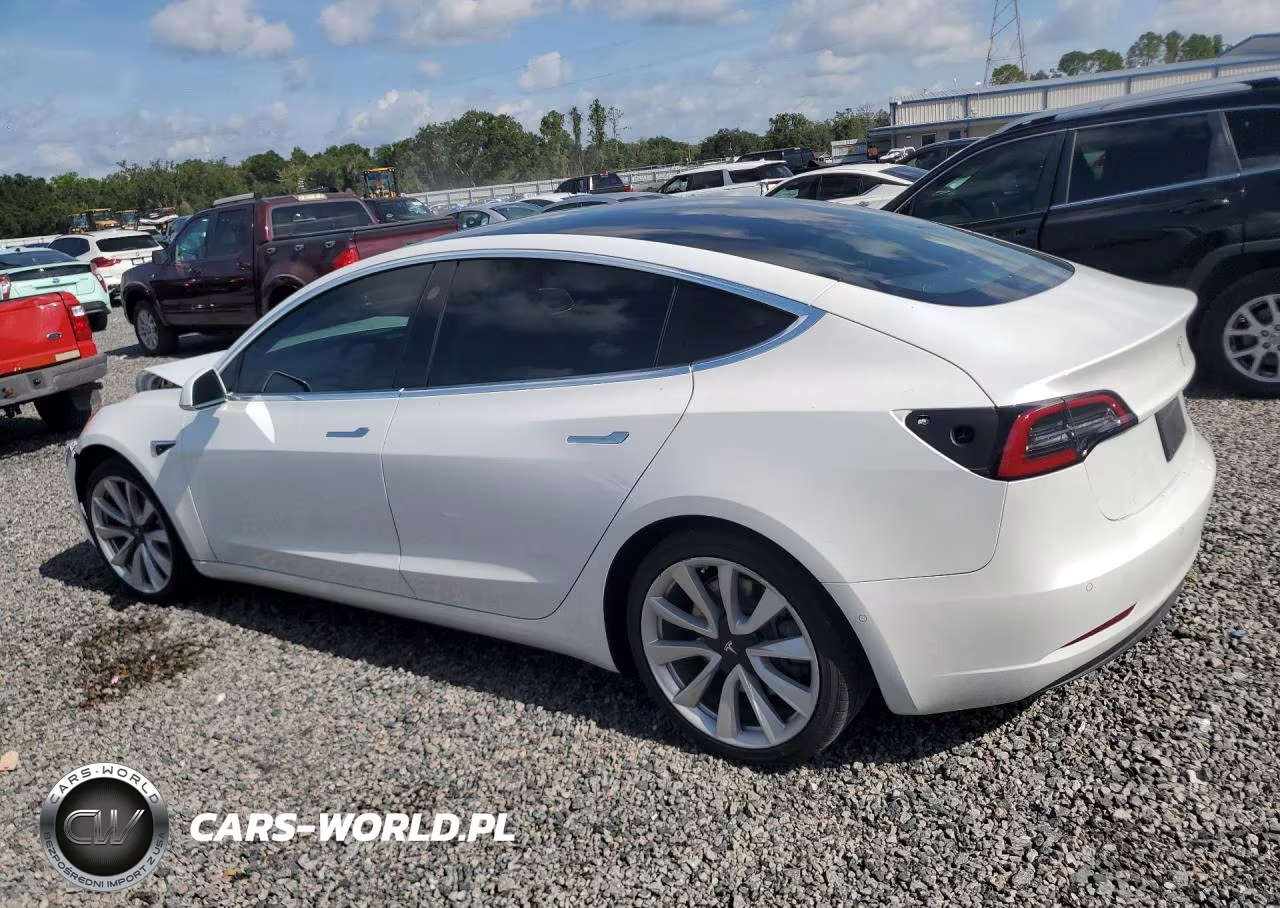 2020 Tesla Model 3 VIN:5YJ3E1EBXLF795644 - 2