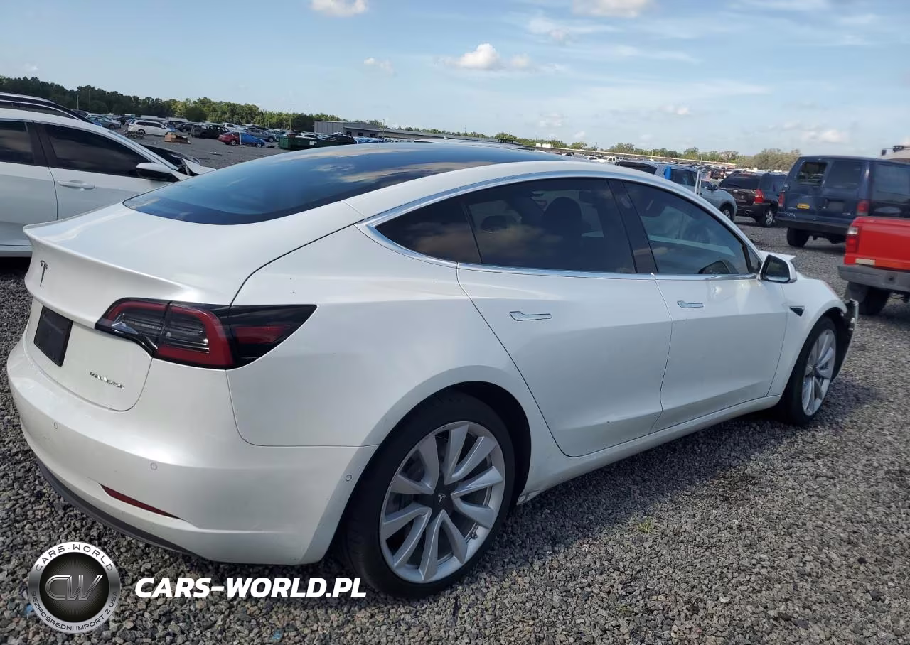 2020 Tesla Model 3 VIN:5YJ3E1EBXLF795644 - 3