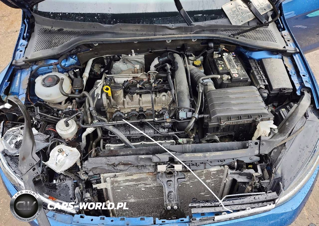 2019 Volkswagen Golf S-Se VIN:3VWW57AU7KM030910 - 11