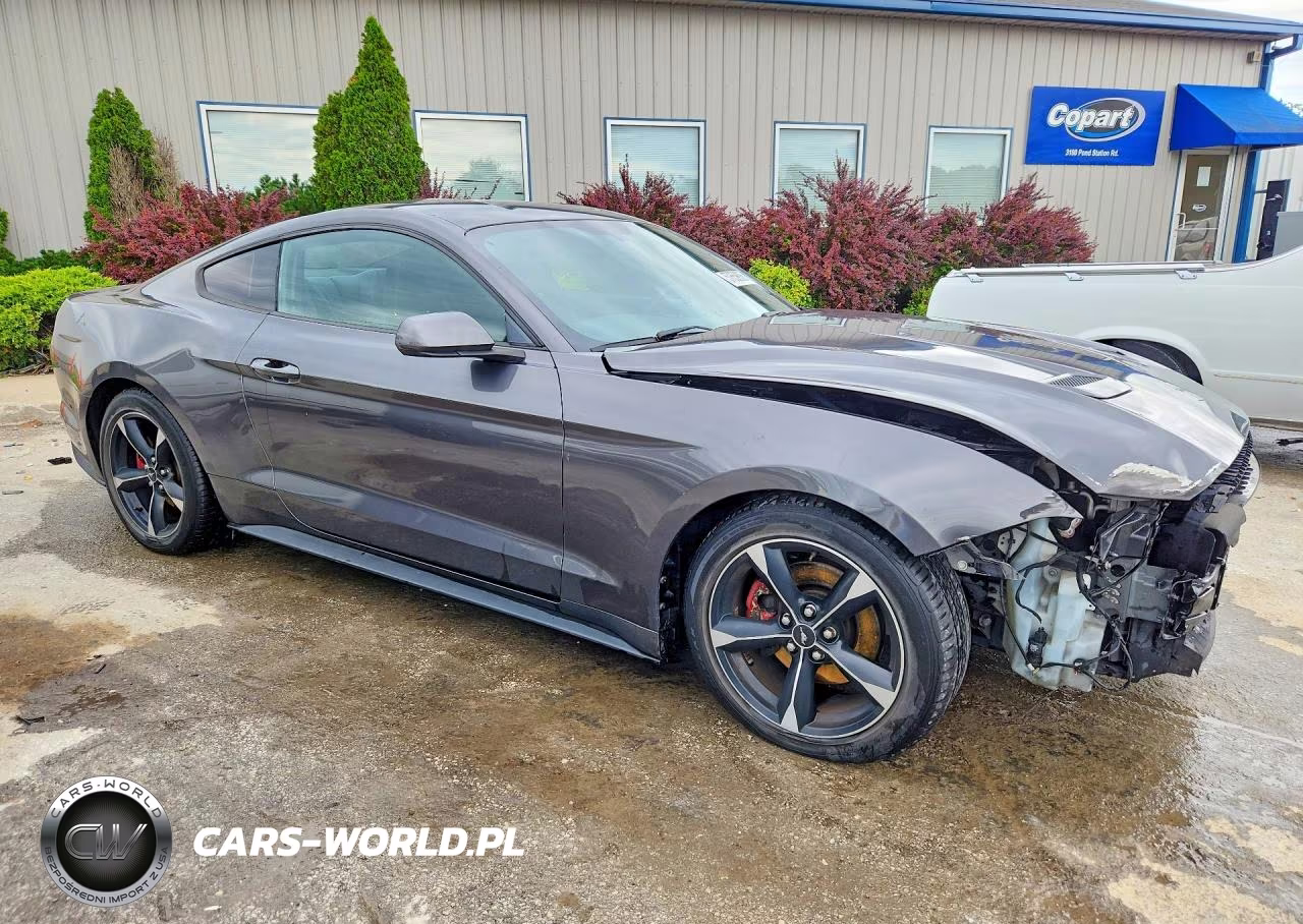 2018 Ford Mustang VIN:1FA6P8TH4J5162696 - 4