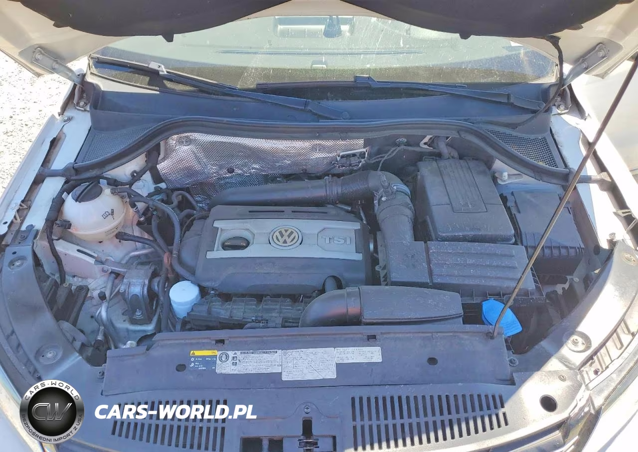 2013 Volkswagen Tiguan S VIN:WVGAV7AX8DW541998 - 11