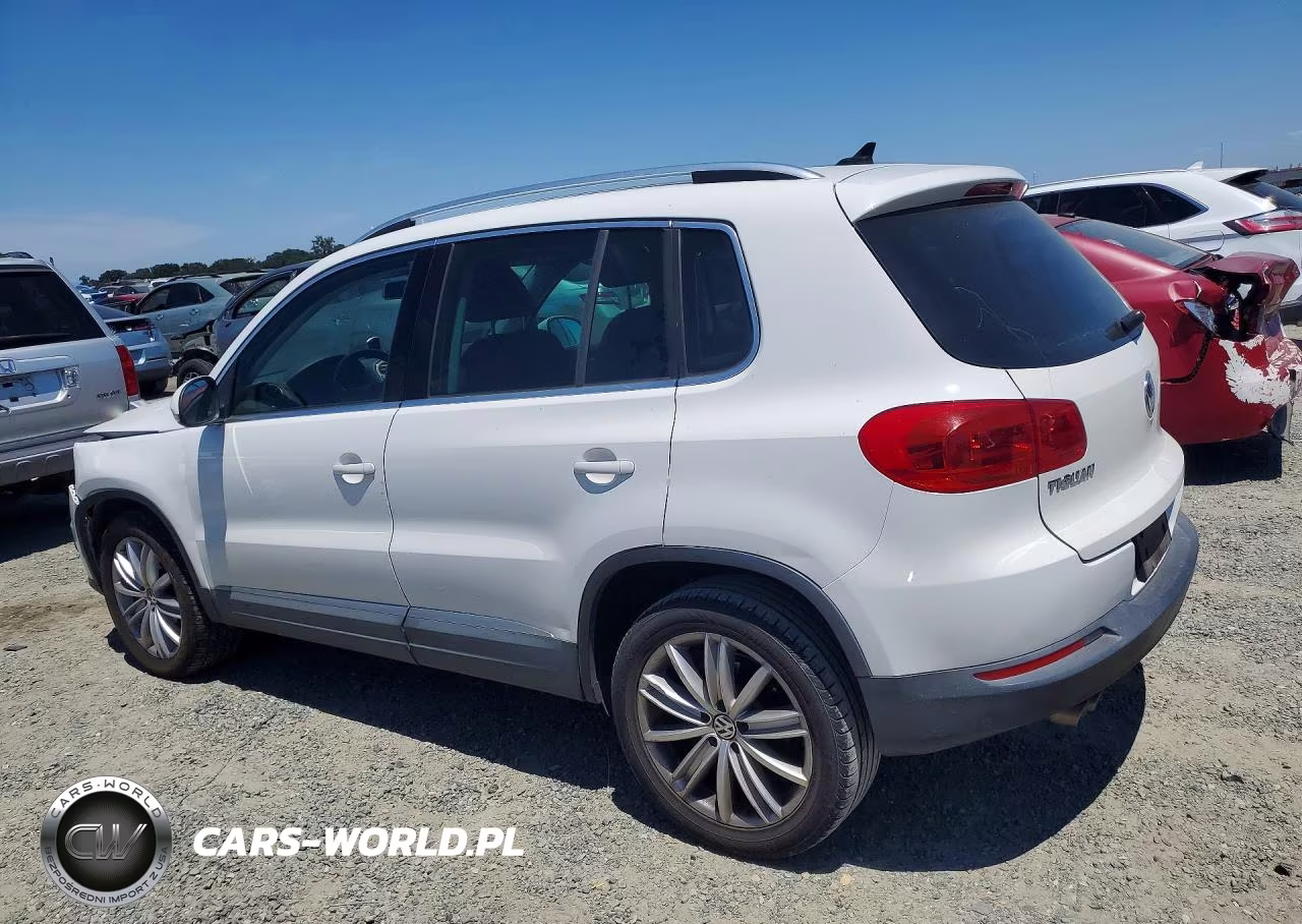 2013 Volkswagen Tiguan S VIN:WVGAV7AX8DW541998 - 2