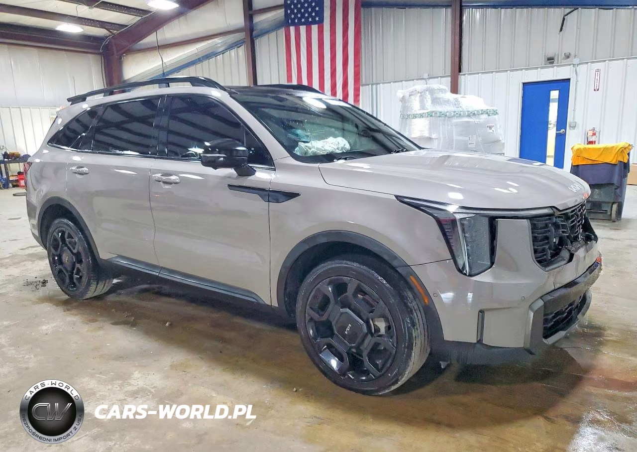 2024 Kia Sorento X-Line Sx Prestige VIN:5XYRKDJF2RG262797 - 4