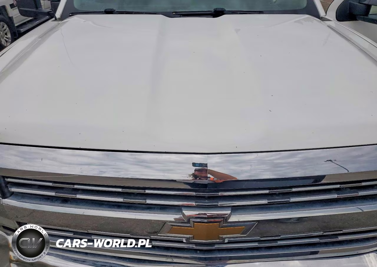 2016 Chevrolet Silverado K2500 Heavy Duty VIN:1GC2KUEG7GZ407531 - 11