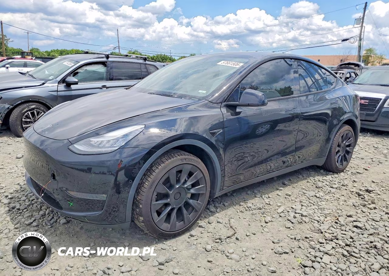 2020 Tesla Model Y