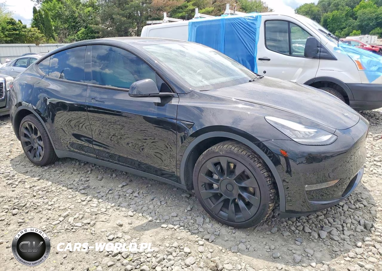 2020 Tesla Model Y VIN:5YJYGDEE4LF046480 - 4