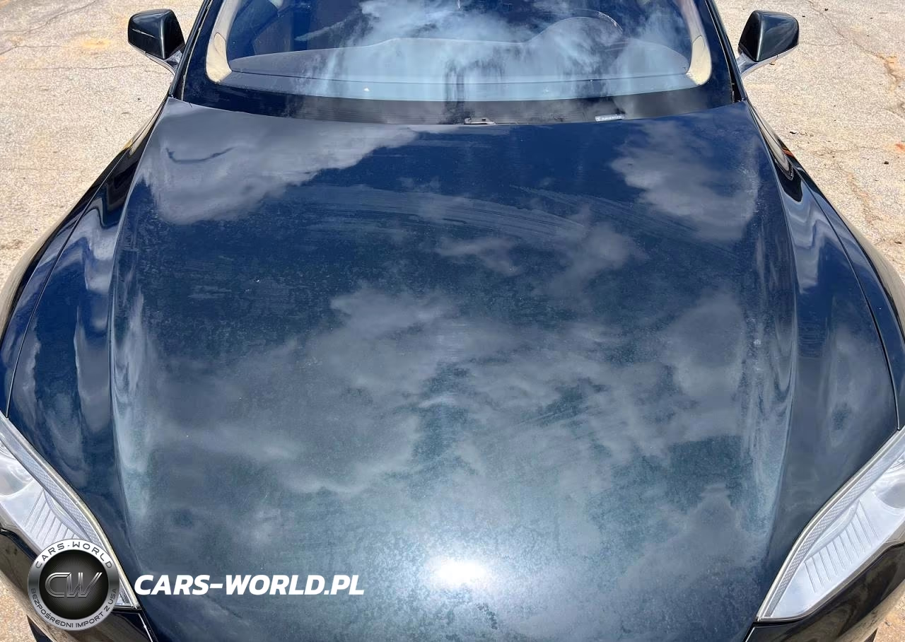 2013 Tesla Model S VIN:5YJSA1AC1DFP10732 - 11