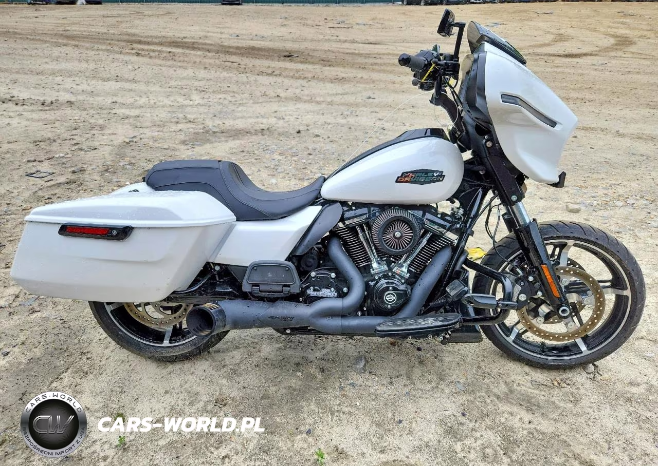 2024 Harley-Davidson Flhx