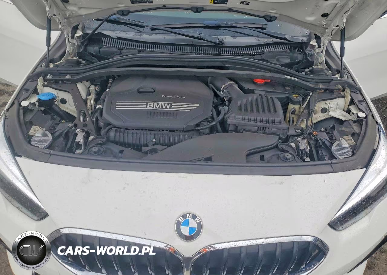 2021 BMW 228Xi VIN:WBA73AK05M7J31055 - 11