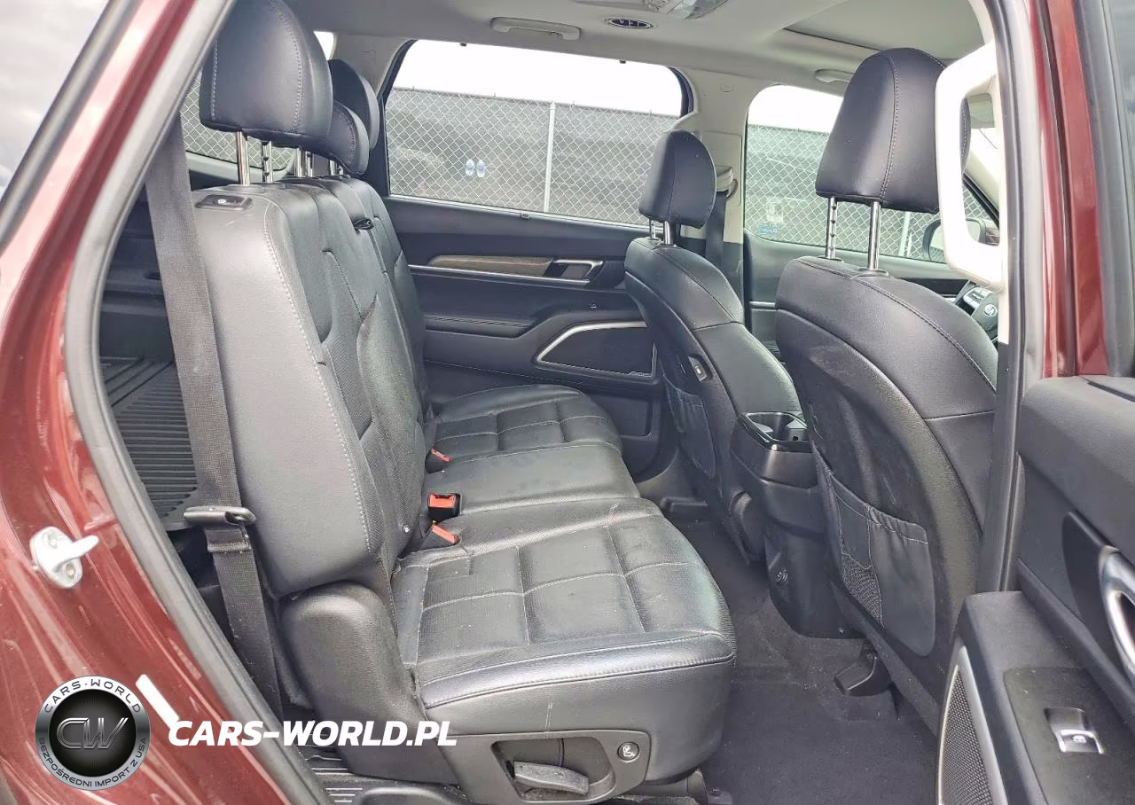 2020 Kia Telluride Ex VIN:5XYP34HCXLG034053 - 10