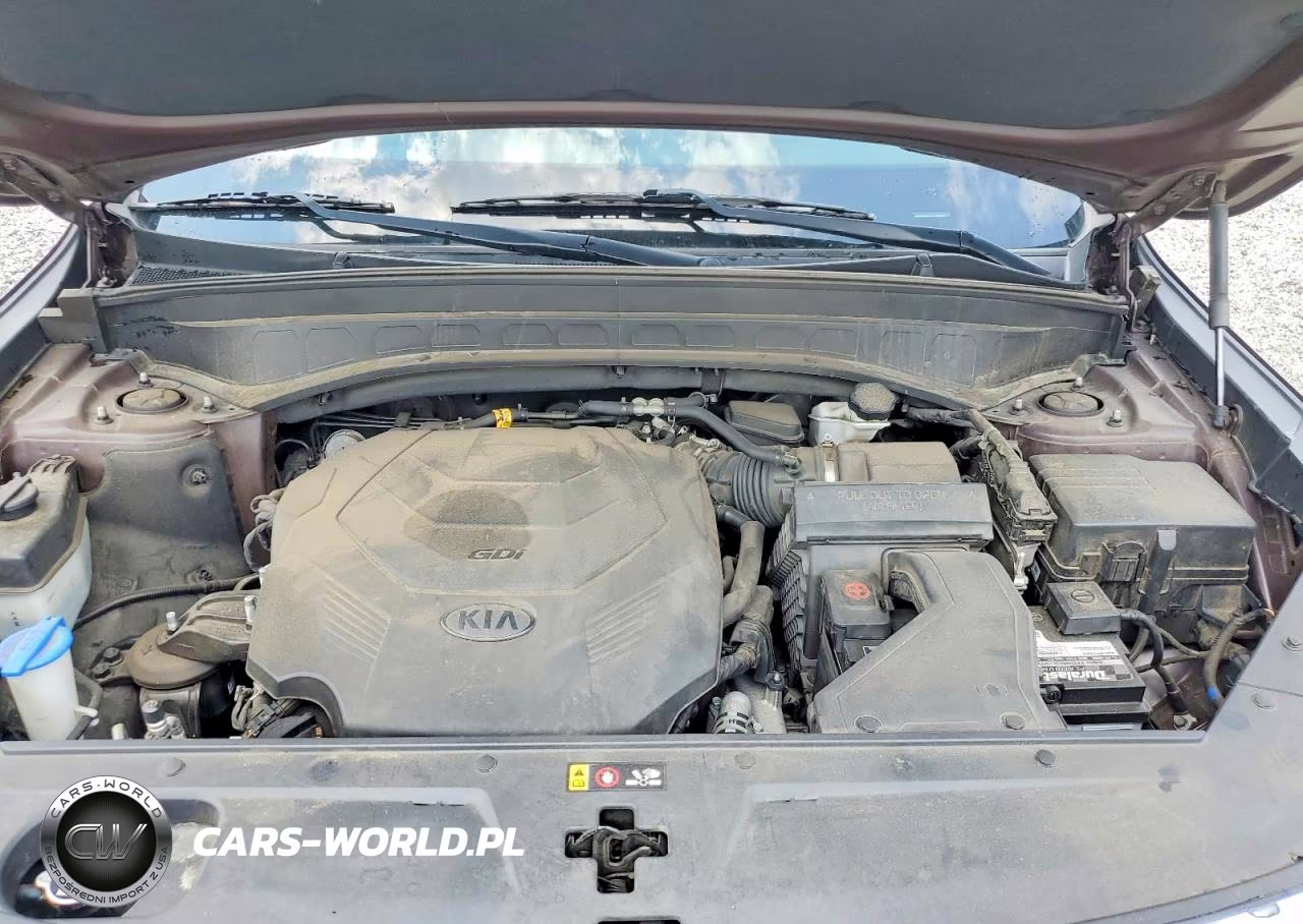 2020 Kia Telluride Ex VIN:5XYP34HCXLG034053 - 11