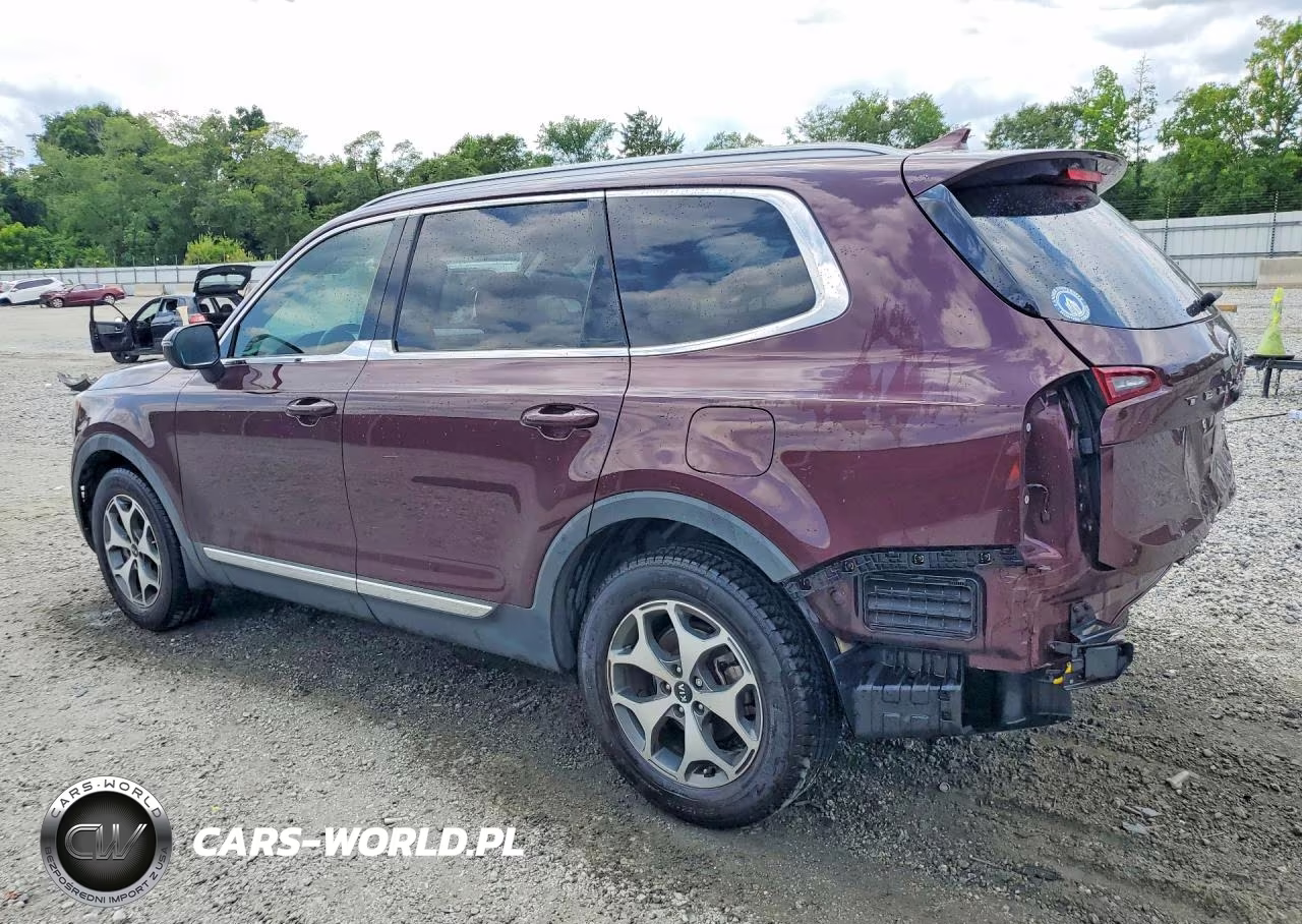 2020 Kia Telluride Ex VIN:5XYP34HCXLG034053 - 2