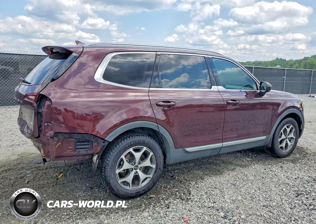 2020 Kia Telluride Ex VIN:5XYP34HCXLG034053 - 3