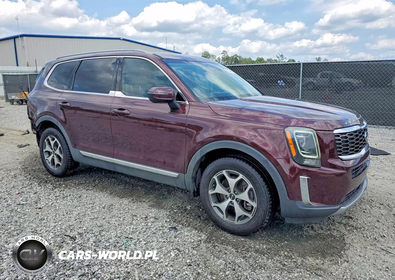 2020 Kia Telluride Ex VIN:5XYP34HCXLG034053 - 4
