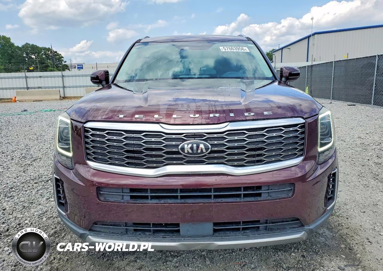 2020 Kia Telluride Ex VIN:5XYP34HCXLG034053 - 5