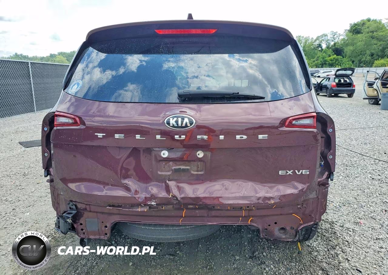 2020 Kia Telluride Ex VIN:5XYP34HCXLG034053 - 6