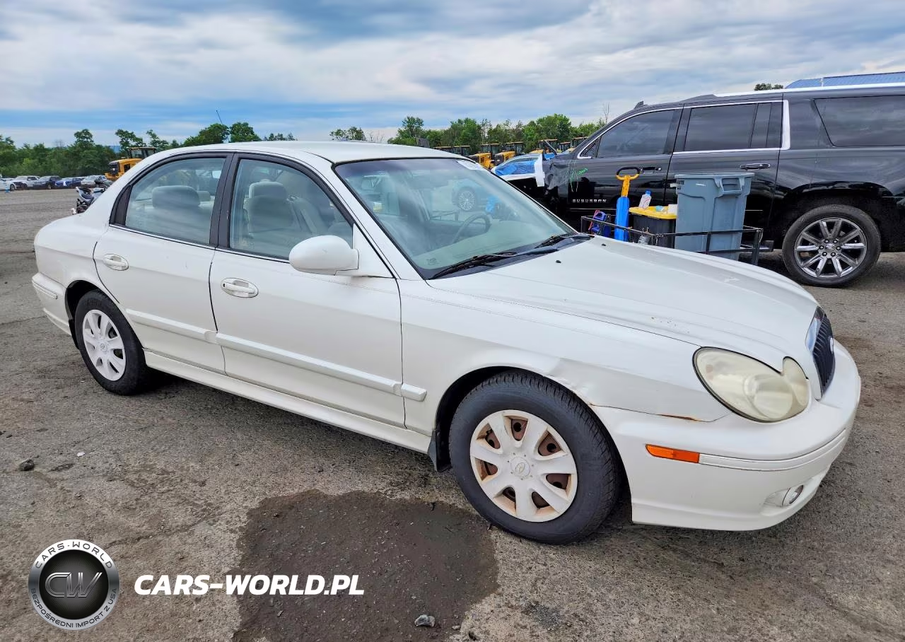2004 Hyundai Sonata Gl VIN:KMHWF25S14A947381 - 4