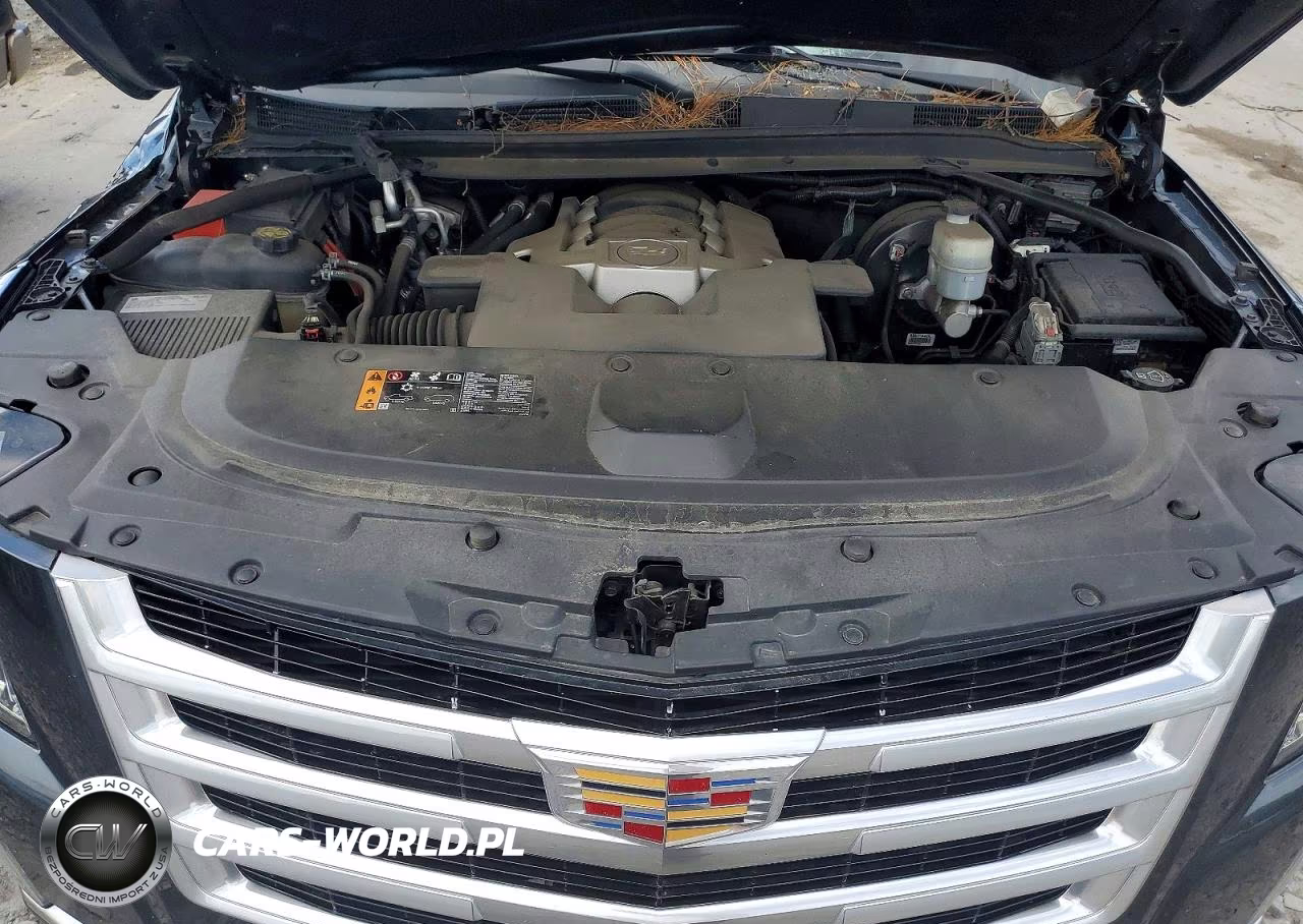 2019 Cadillac Escalade Luxury VIN:1GYS4BKJ6KR145924 - 12
