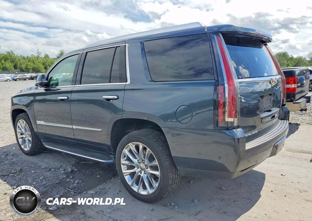 2019 Cadillac Escalade Luxury VIN:1GYS4BKJ6KR145924 - 2