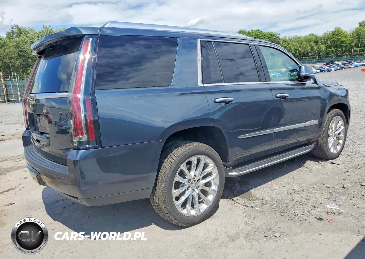 2019 Cadillac Escalade Luxury VIN:1GYS4BKJ6KR145924 - 3