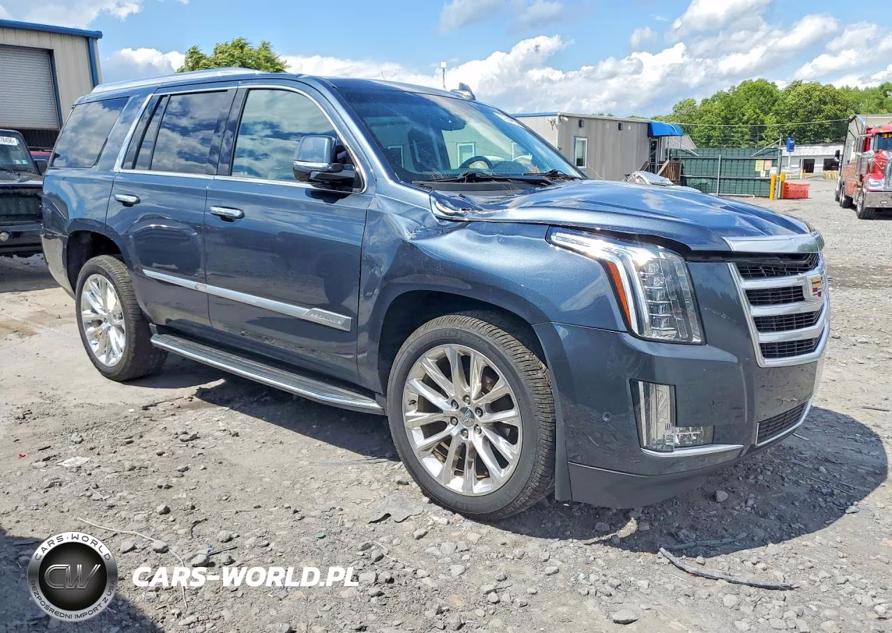 2019 Cadillac Escalade Luxury VIN:1GYS4BKJ6KR145924 - 4