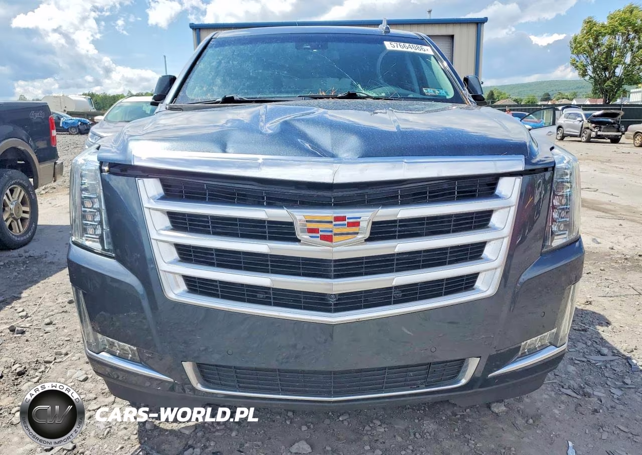 2019 Cadillac Escalade Luxury VIN:1GYS4BKJ6KR145924 - 5