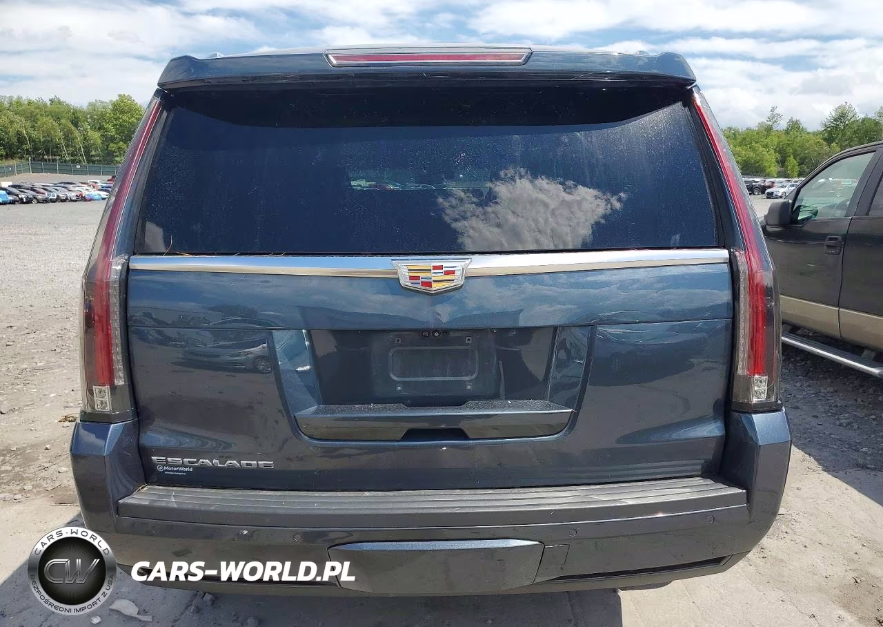 2019 Cadillac Escalade Luxury VIN:1GYS4BKJ6KR145924 - 6