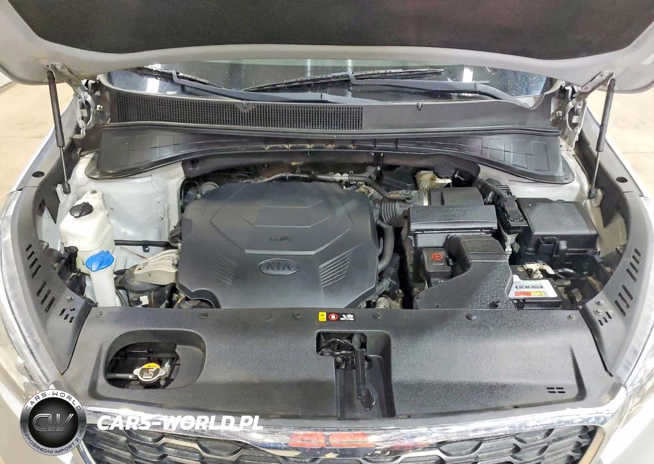 2019 Kia Sorento Lx V6 VIN:5XYPG4A55KG483400 - 12