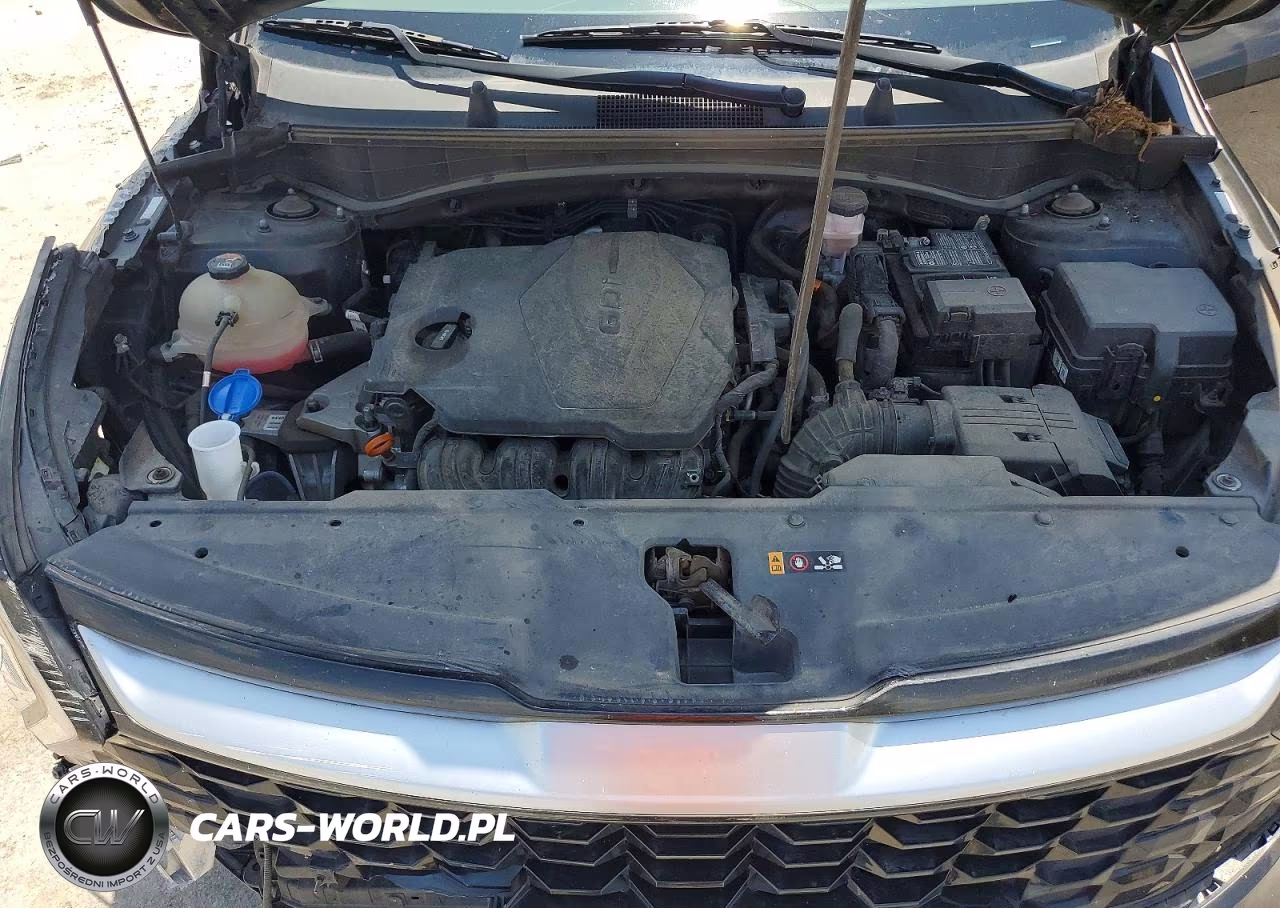 2023 Kia Sportage VIN:5XYK33AF3PG002818 - 12
