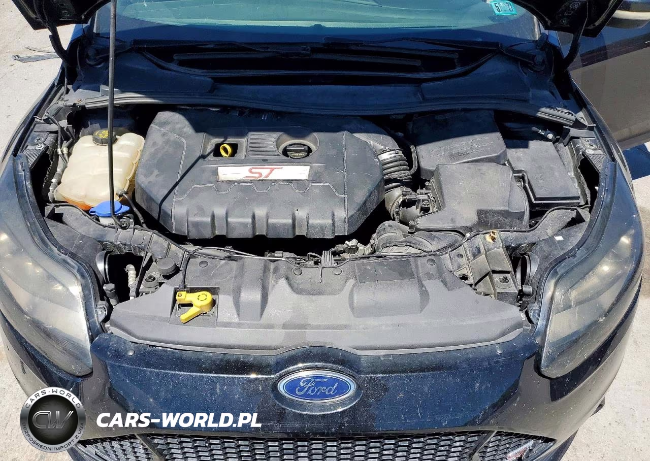 2014 Ford Focus St VIN:1FADP3L96EL204399 - 11