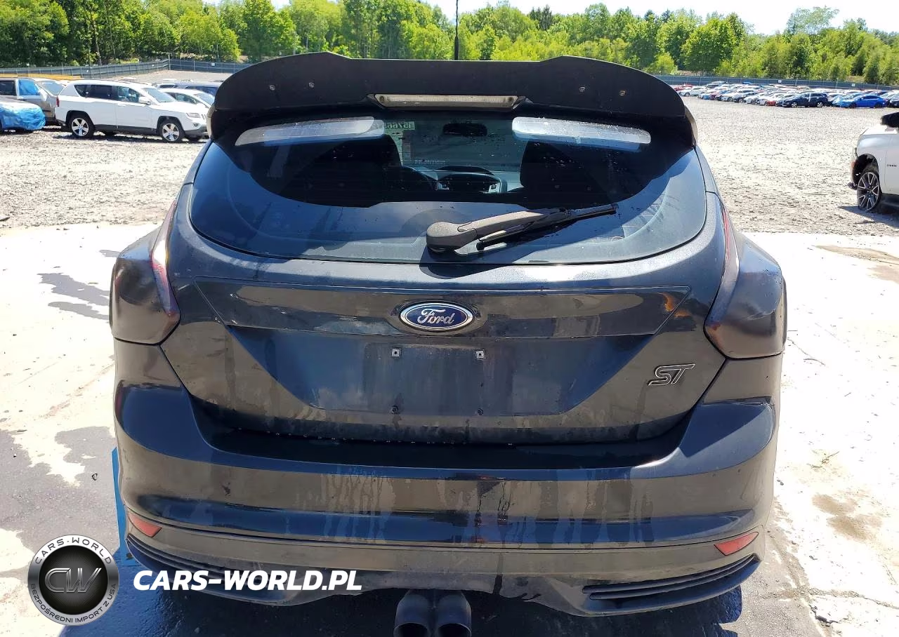 2014 Ford Focus St VIN:1FADP3L96EL204399 - 6