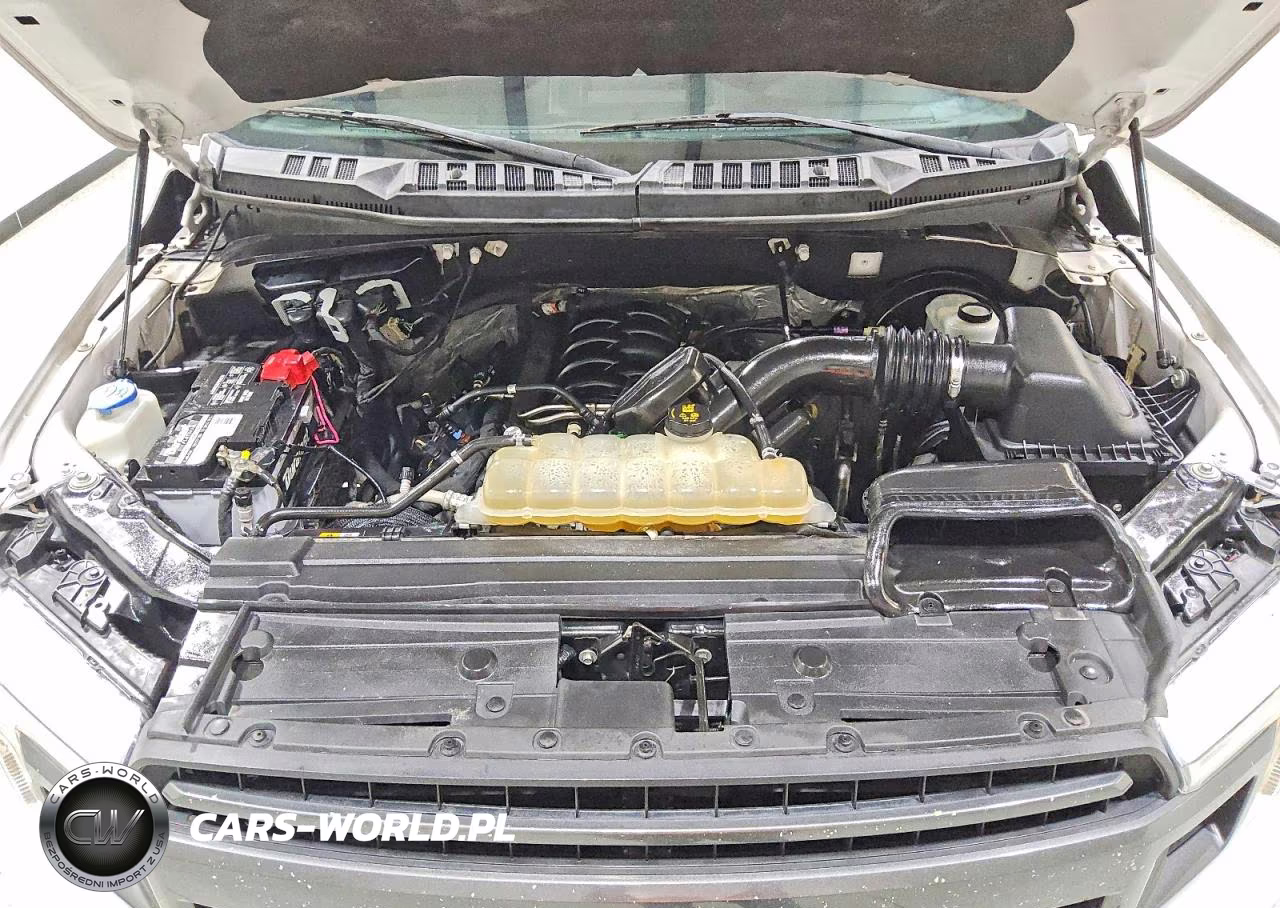 2019 Ford F150 Supercrew VIN:1FTEW1C51KFD42056 - 12
