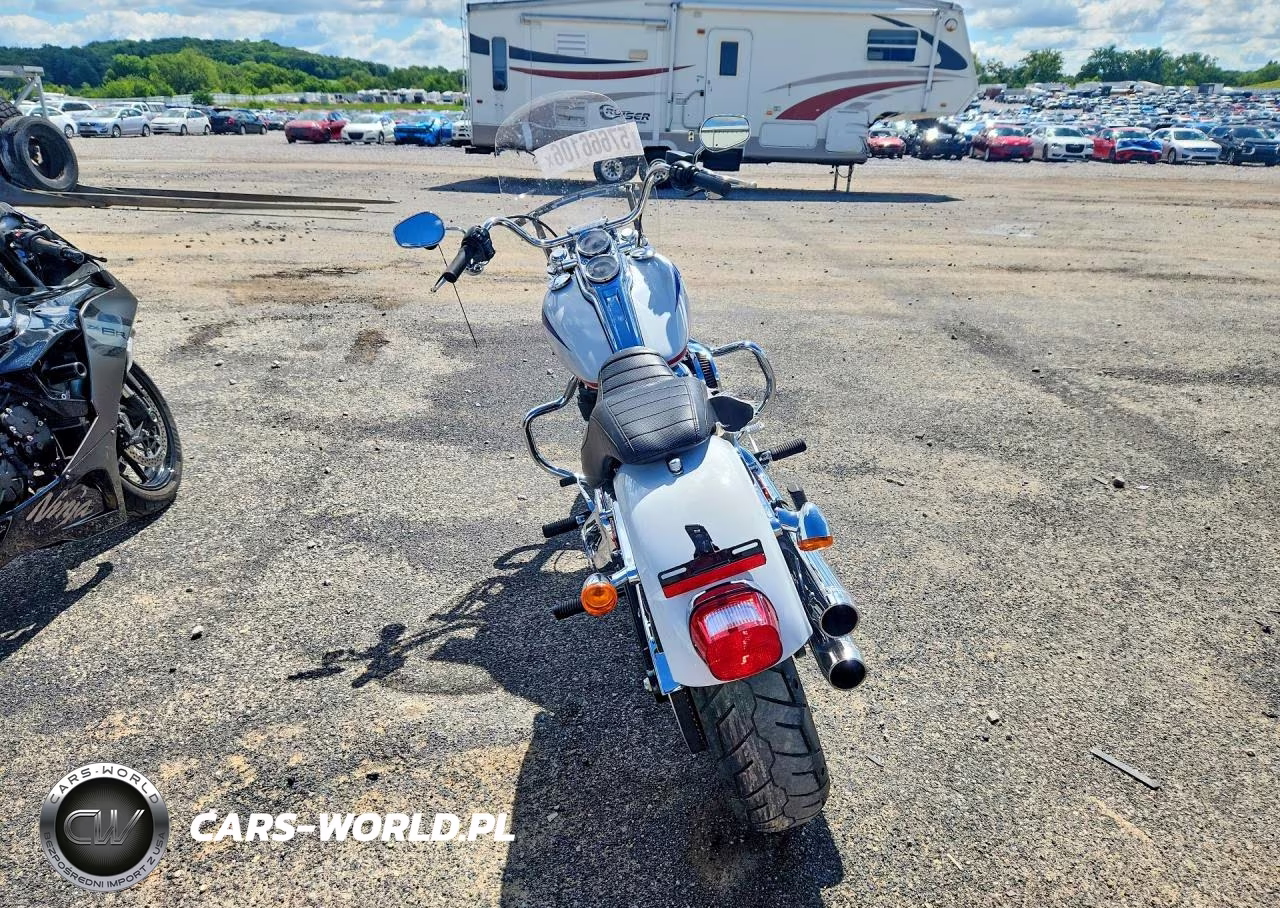 2020 Harley-Davidson Fxlr VIN:1HD1YNJ14LB063935 - 4
