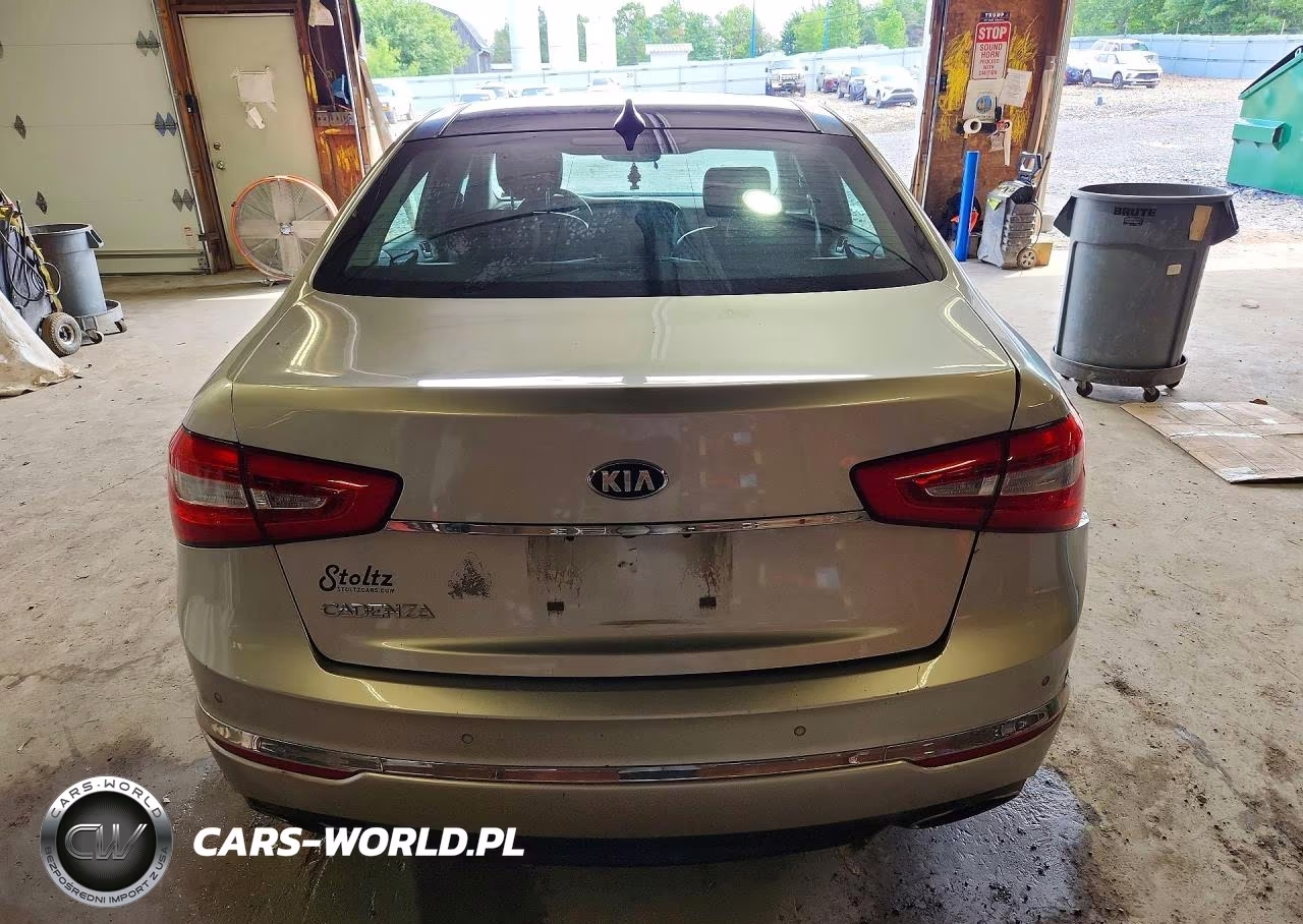 2014 Kia Cadenza Premium VIN:KNALN4D71E5121480 - 6
