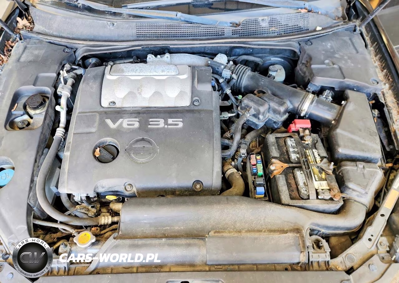 2007 Nissan Maxima 3.5 Se VIN:1N4BA41E77C834465 - 11