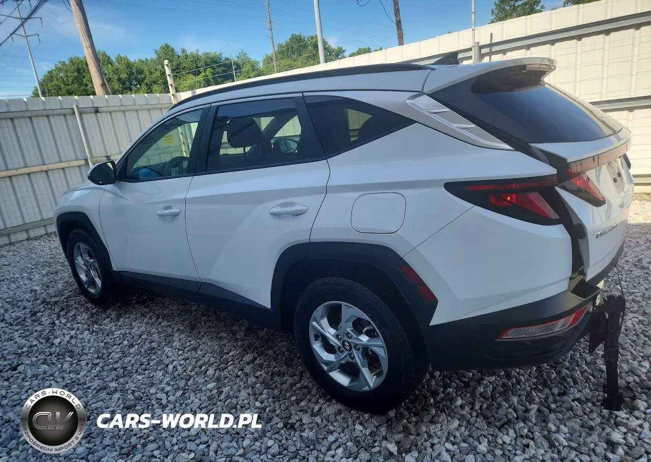 2024 Hyundai Tucson Sel VIN:5NMJBCDE2RH349115 - 2