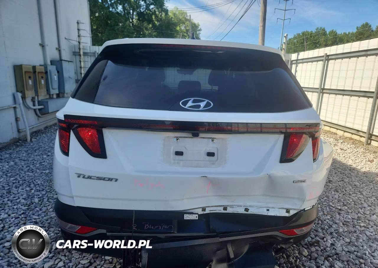 2024 Hyundai Tucson Sel VIN:5NMJBCDE2RH349115 - 6