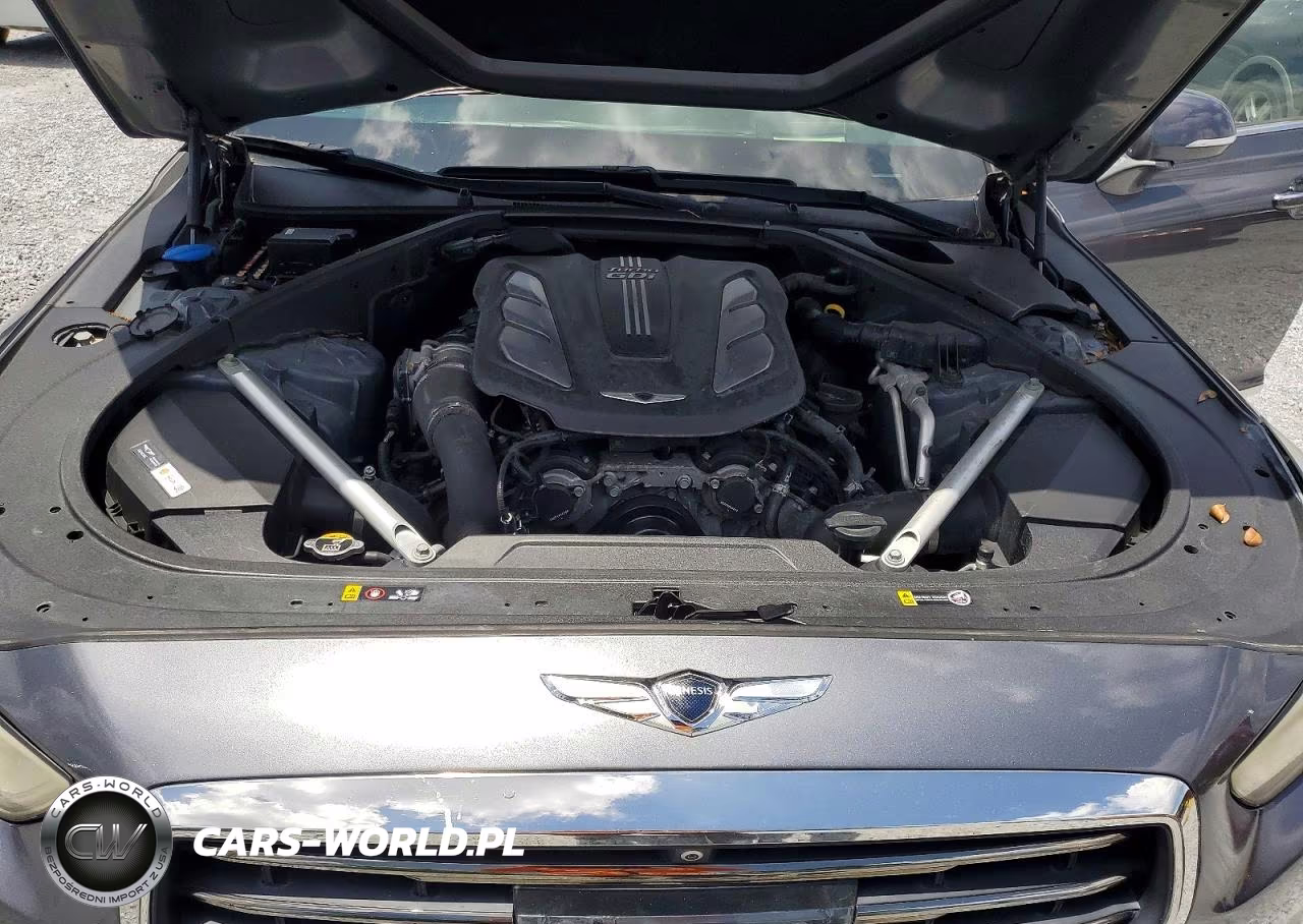 2017 Genesis G90 Premium VIN:KMHG34JA0HU022990 - 11
