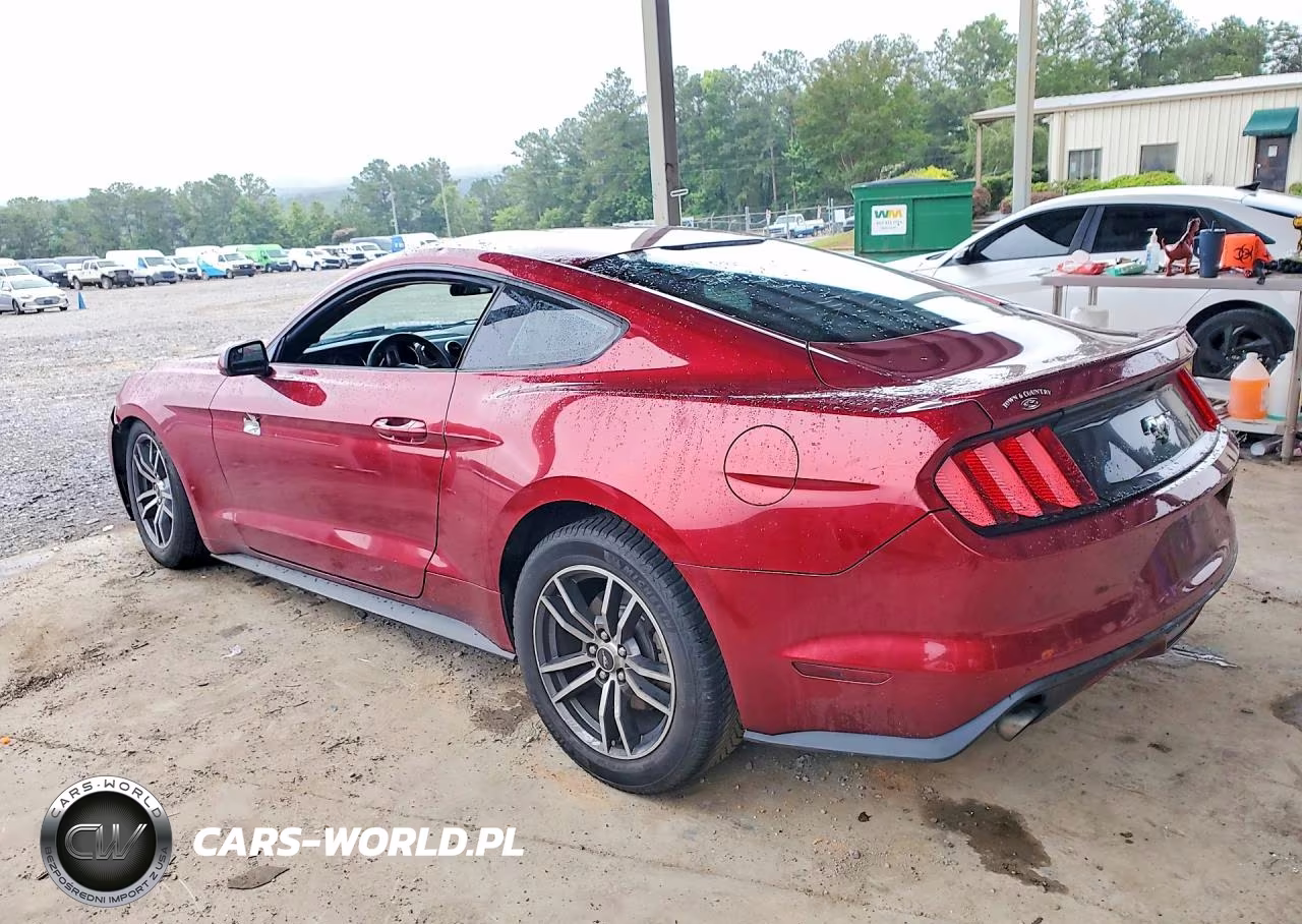 2017 Ford Mustang VIN:1FA6P8TH2H5332287 - 2