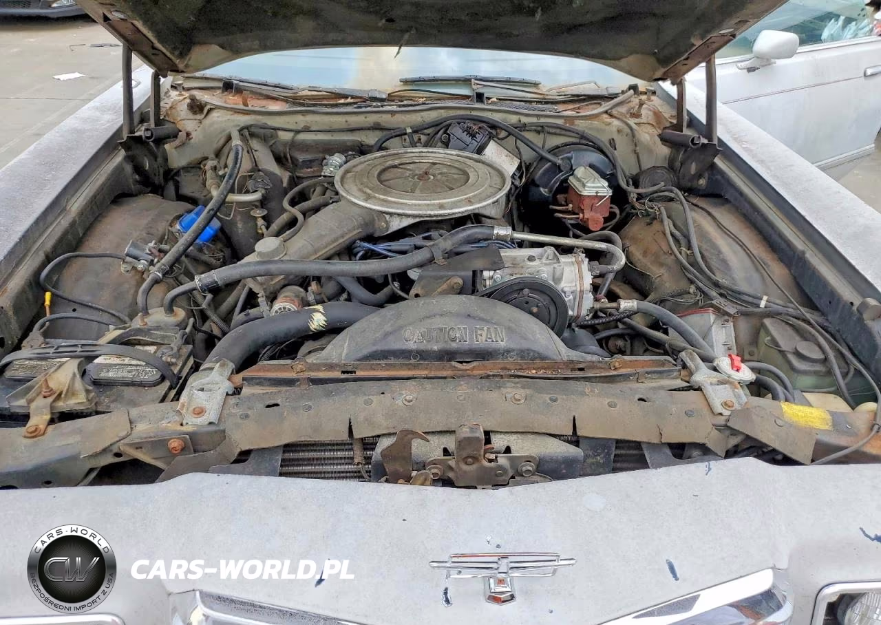 1977 Ford Thunderbird VIN:7G87F252558 - 11