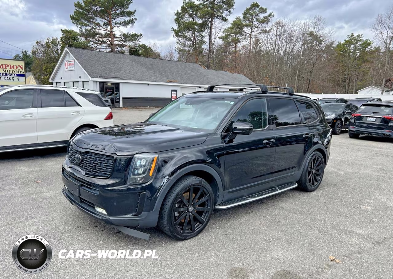 2021 Kia Telluride Sx VIN:5XYP5DHC3MG161769 - 2