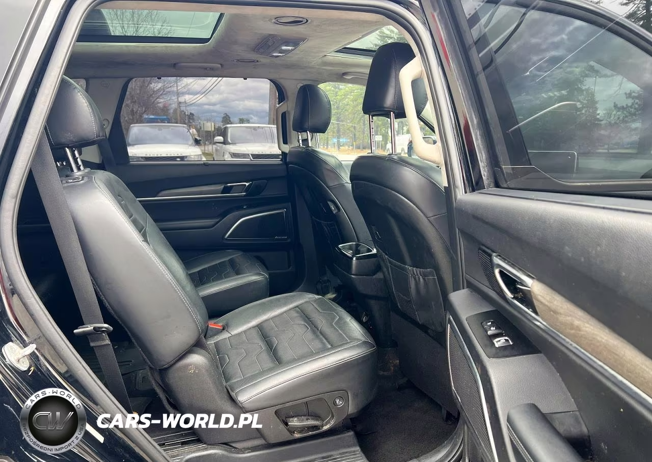 2021 Kia Telluride Sx VIN:5XYP5DHC3MG161769 - 6