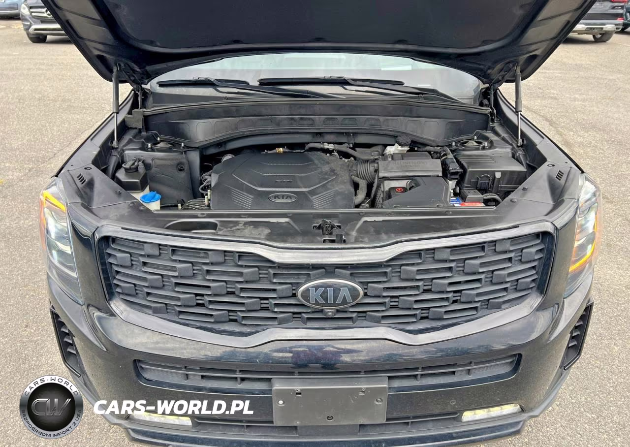 2021 Kia Telluride Sx VIN:5XYP5DHC3MG161769 - 8
