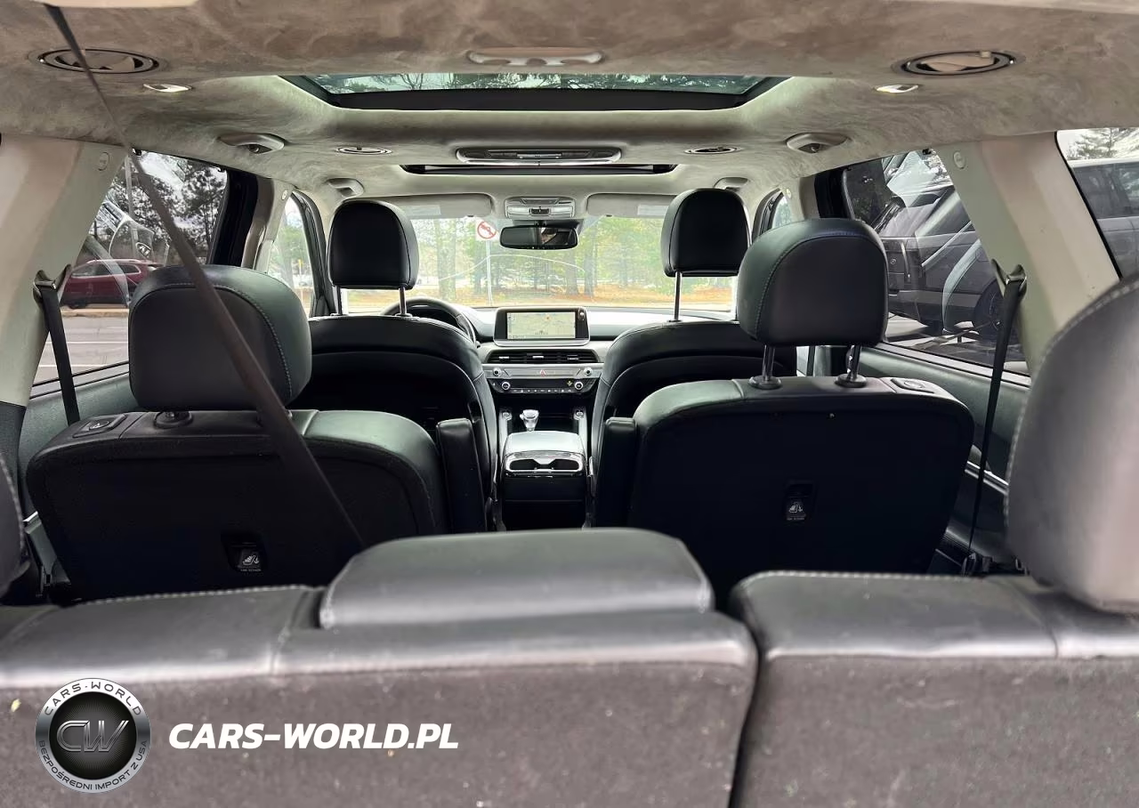 2021 Kia Telluride Sx VIN:5XYP5DHC3MG161769 - 9