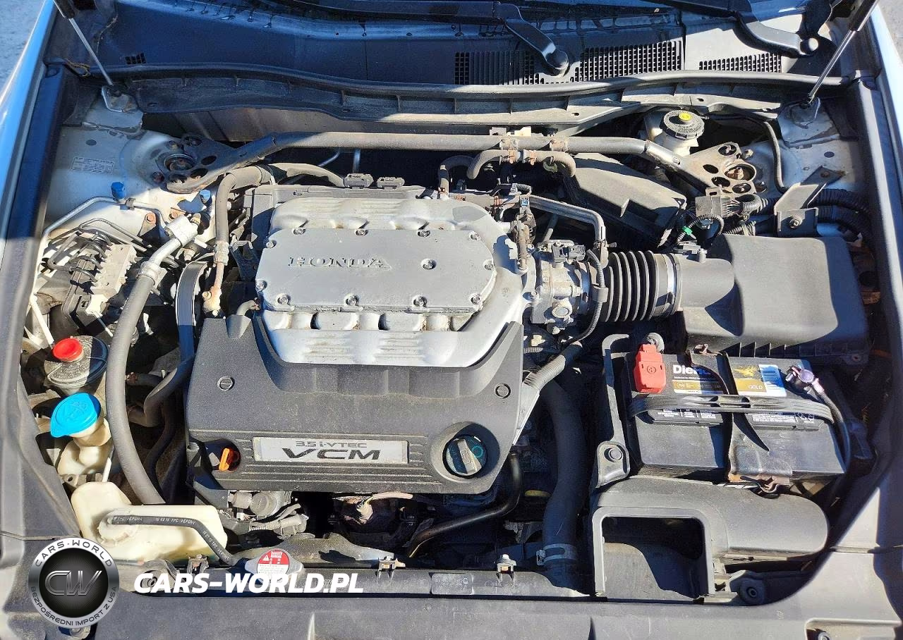 2010 Honda Accord Exl VIN:1HGCP3F80AA029308 - 11