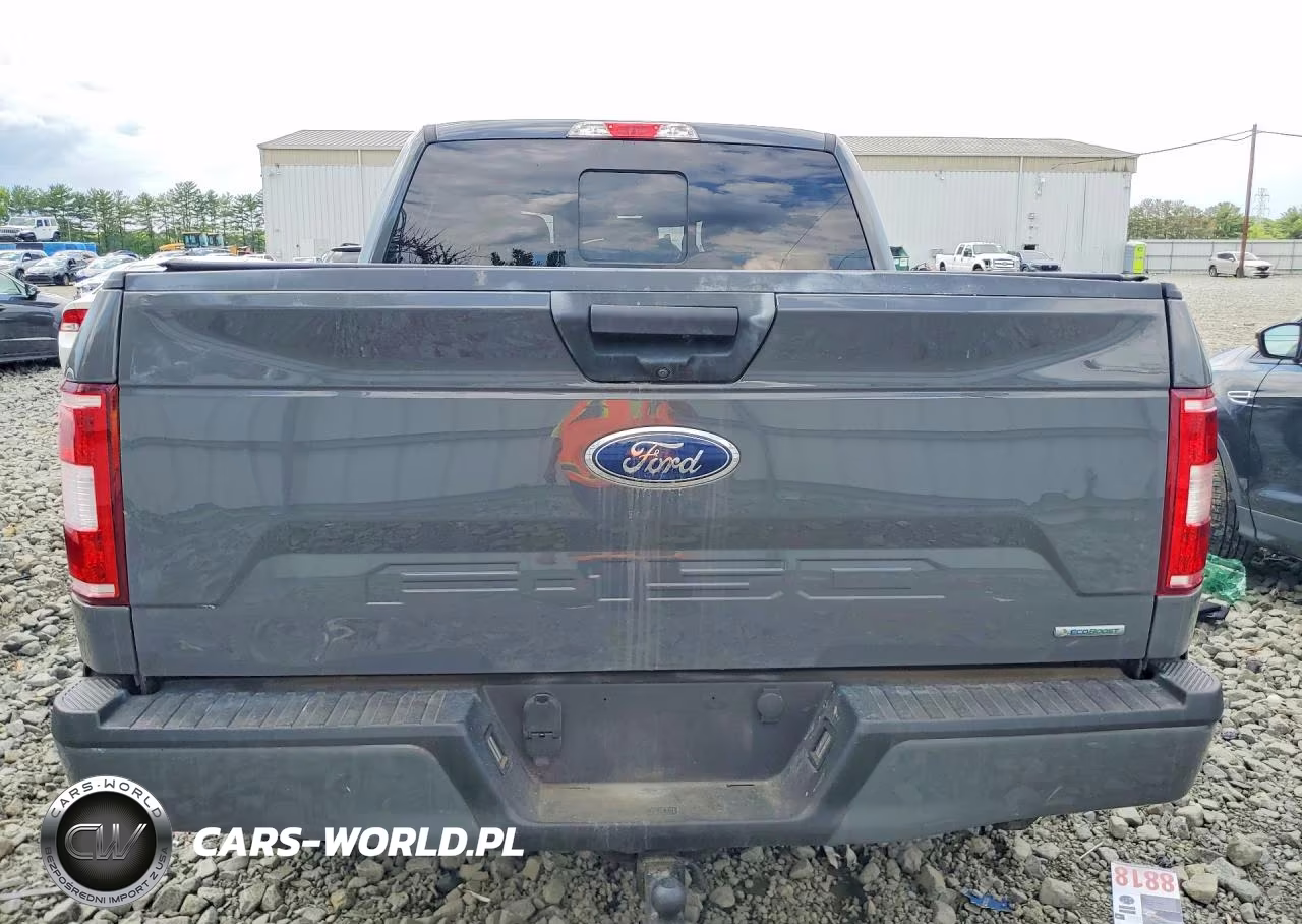 2020 Ford F150 Supercrew VIN:1FTEW1E4XLFB95905 - 6