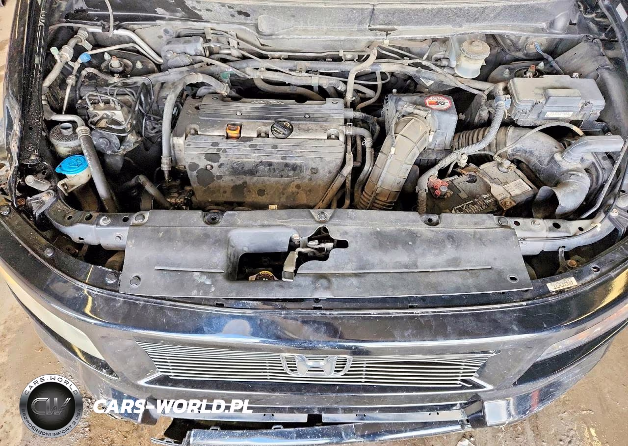 2008 Honda Element Sc VIN:5J6YH18928L008044 - 12
