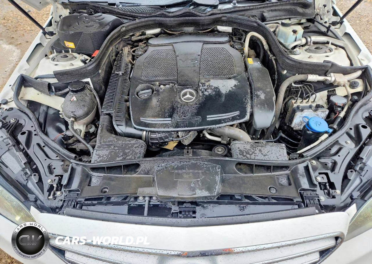 2016 Mercedes-Benz E350Taxi VIN:WDDHF5KB8GB239460 - 11
